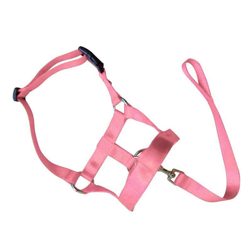 Dog Training Head Collar Halter Stop Pulling Training Tool Harness