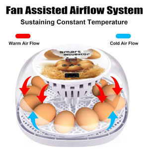 Automatic Small Egg Incubator for Chicken Pigeon