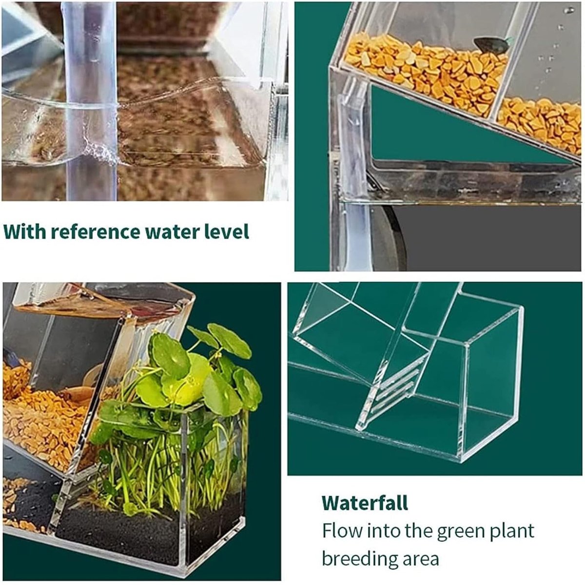 Compact Multi-Cell Desktop Fish Tank with Filtration System