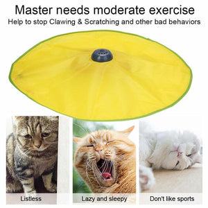 Interactive Cat Toy with Moving Mouse for Engaging Play