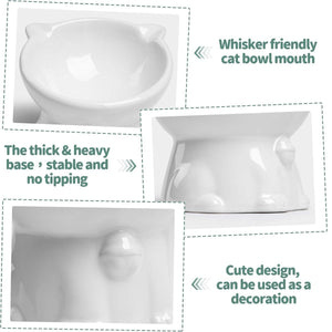 Tilted Ceramic Cat Bowl Ergonomic Design