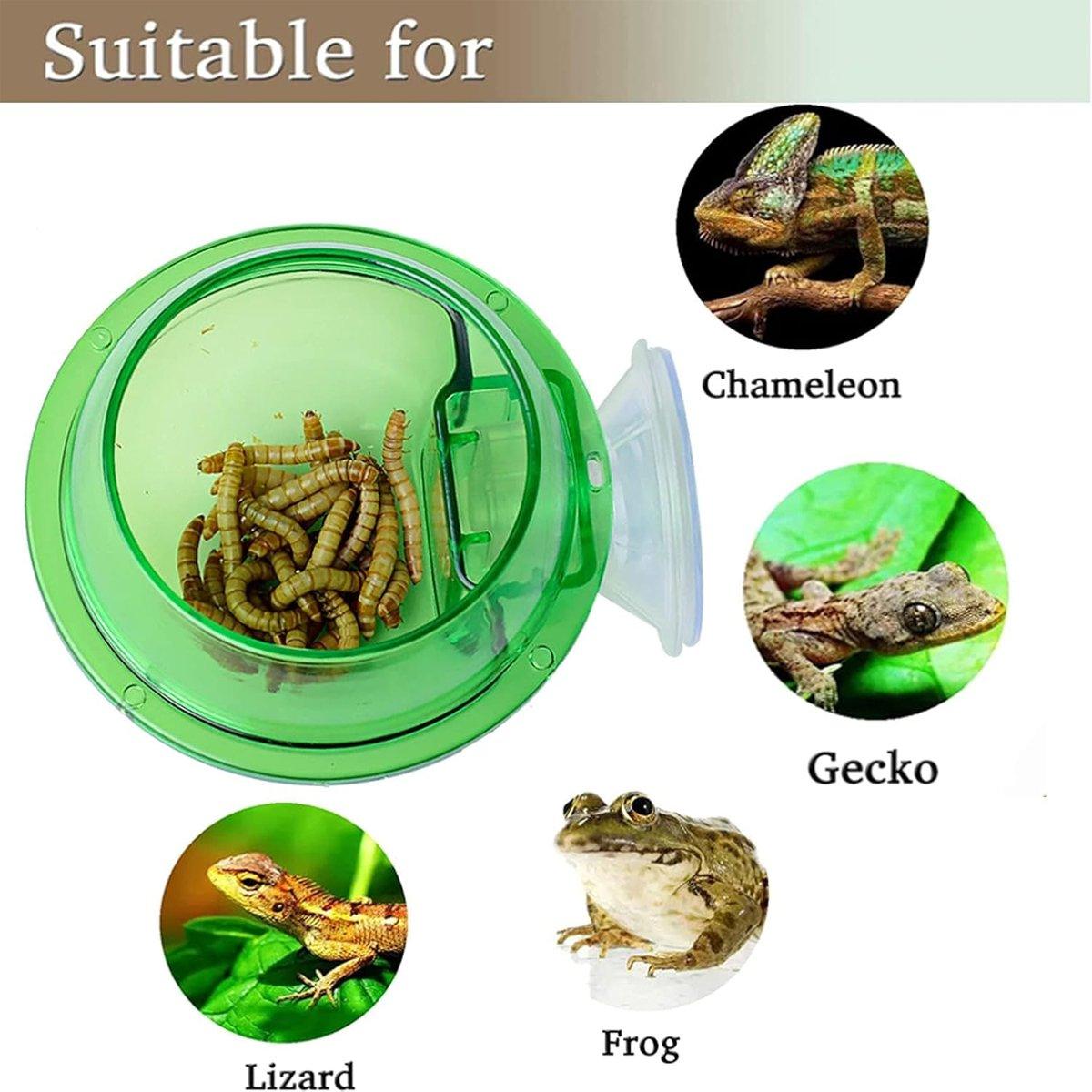 Suction Cup Reptile Feeder Bowl Anti-Escape Feeding Dish for Small Reptiles