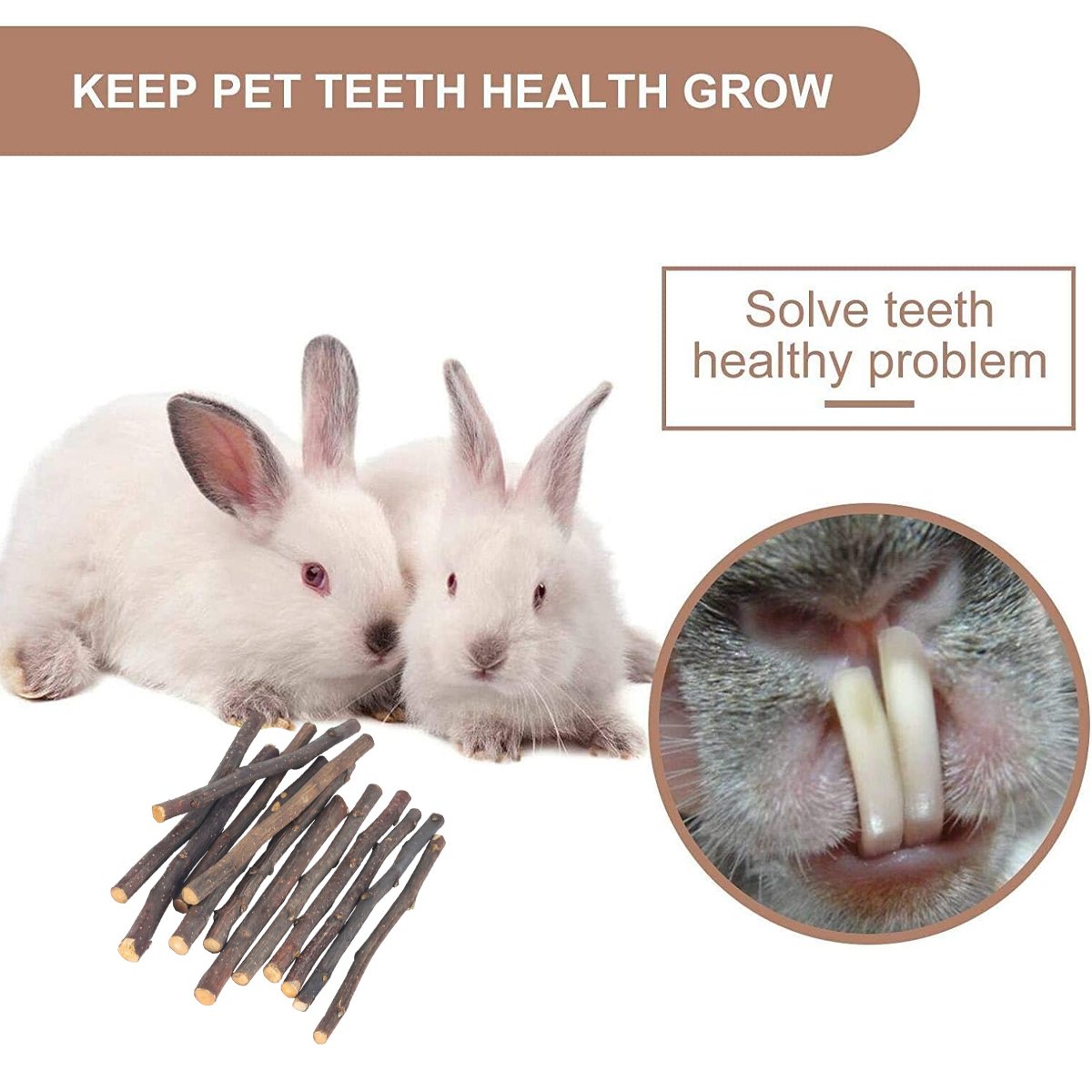 Natural Pet Chew Sticks - 100g Apple Branches and Sweet Bamboo