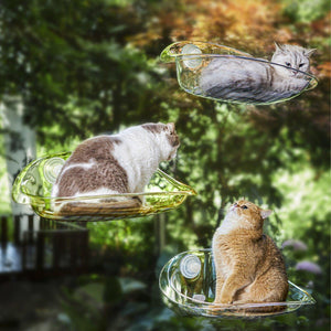 Cat Nest Cat Hammock Space Capsule Cat Bed Window Cat Sunrise Hanging Bed Glass Hanging Basket Transparent Pet Bed