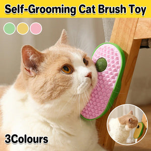 Cat Scratching Toy with Catnip