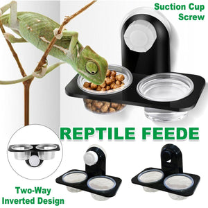 Dual Reptile Food and Water Bowl Versatile Feeding Solution for Small Pets