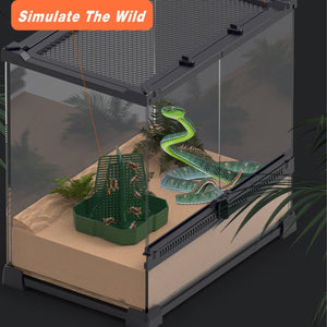 Reptile Feeding Basin with Anti-Escape Design