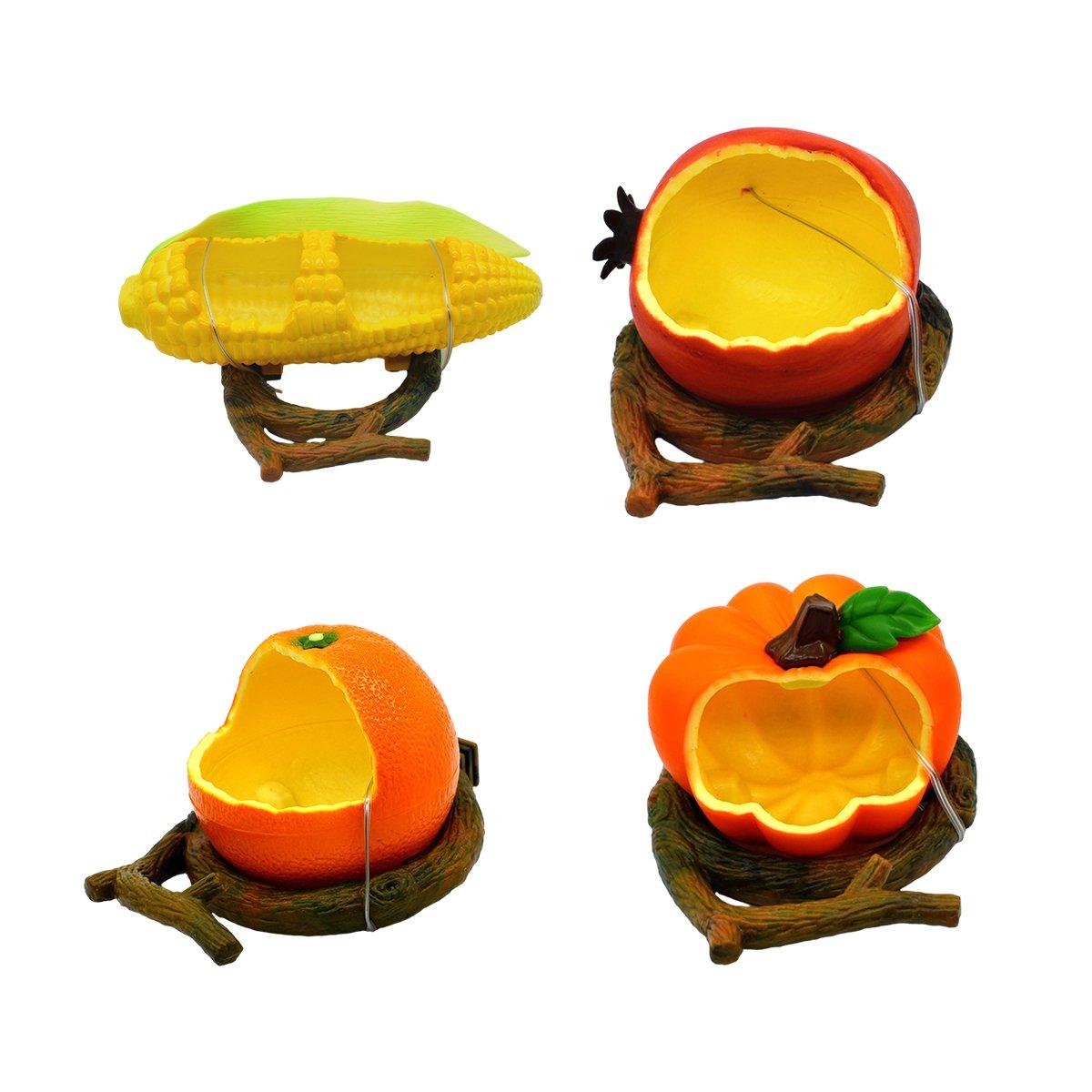 Bird Feeding Bowl Parrot Water Feeder Food Feeding Container