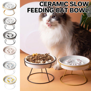 Ceramic Cat Bowl Slow Feeder Pet Food Tray for Cats and Dogs Non Slip Design