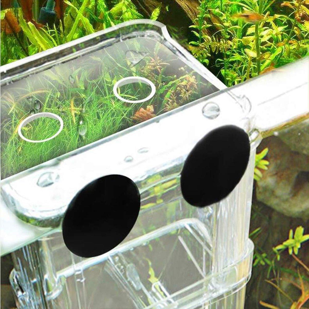 Guppy Breeding Aquarium Fish Tank Hatchery Isolation Breeder Rearing Box