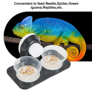 Dual Reptile Food and Water Bowl Versatile Feeding Solution for Small Pets