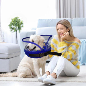 Soft Adjustable Dog Recovery Collar for Post-Surgery & Skin Healing