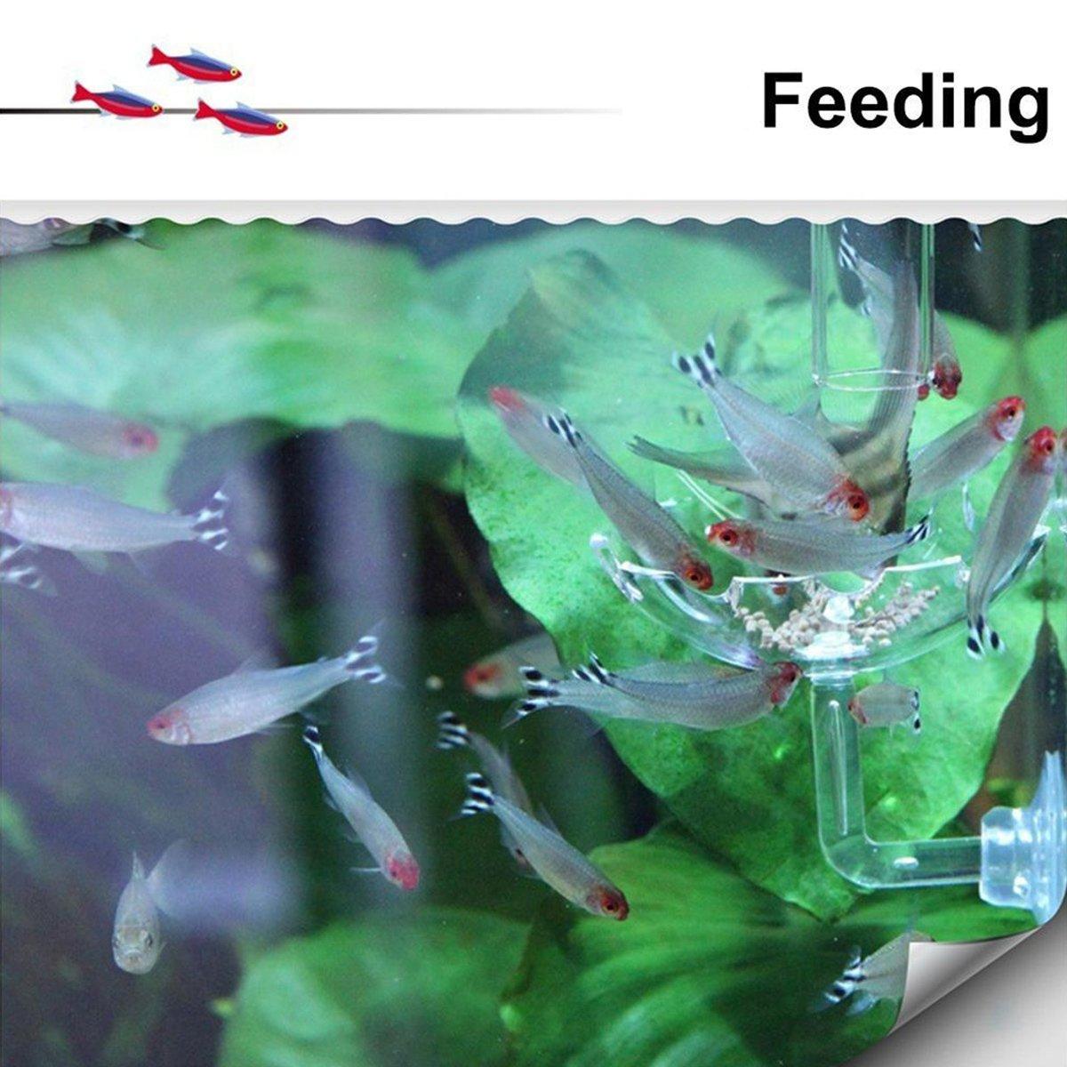 Aquarium Fish Tank Shrimp Food Feeder Clear Glass Feeding Dish Fish Tank Feeder