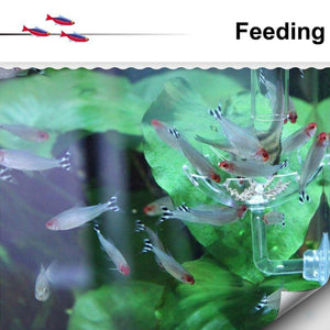 Aquarium Fish Tank Shrimp Food Feeder Clear Glass Feeding Dish Fish Tank Feeder