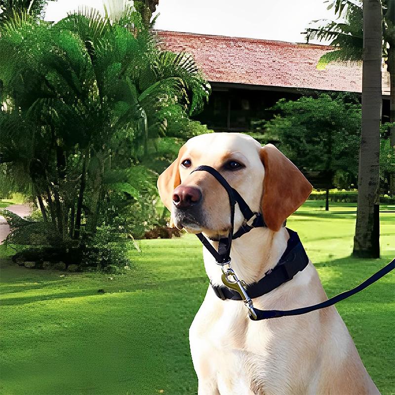 Dog Training Head Collar Halter Stop Pulling Training Tool Harness