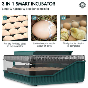 Reliable Fully Automatic Chicken Incubator