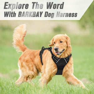 Adjustable No-Pull Dog Harness for Safe & Comfortable Walks S-XL