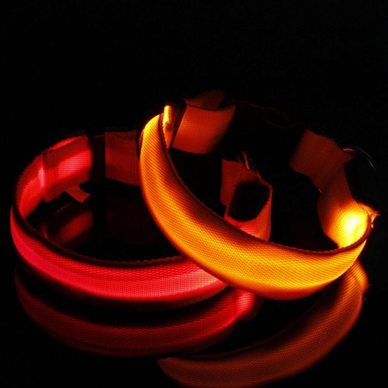 USB-Charged LED Nylon Dog Collar-Glowing Flashing Pet Safety Night Light Collar