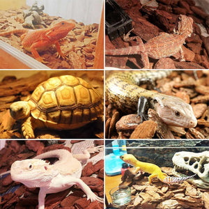 Reptile Bedding Substrate for Lizard Snake Tortoise