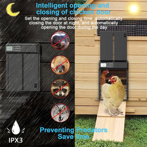 Weatherproof Automatic Stainless Steel Chicken Coop Door