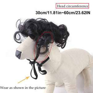 Stylish  Funny Pet Wig With Bangs Fun and Comfortable