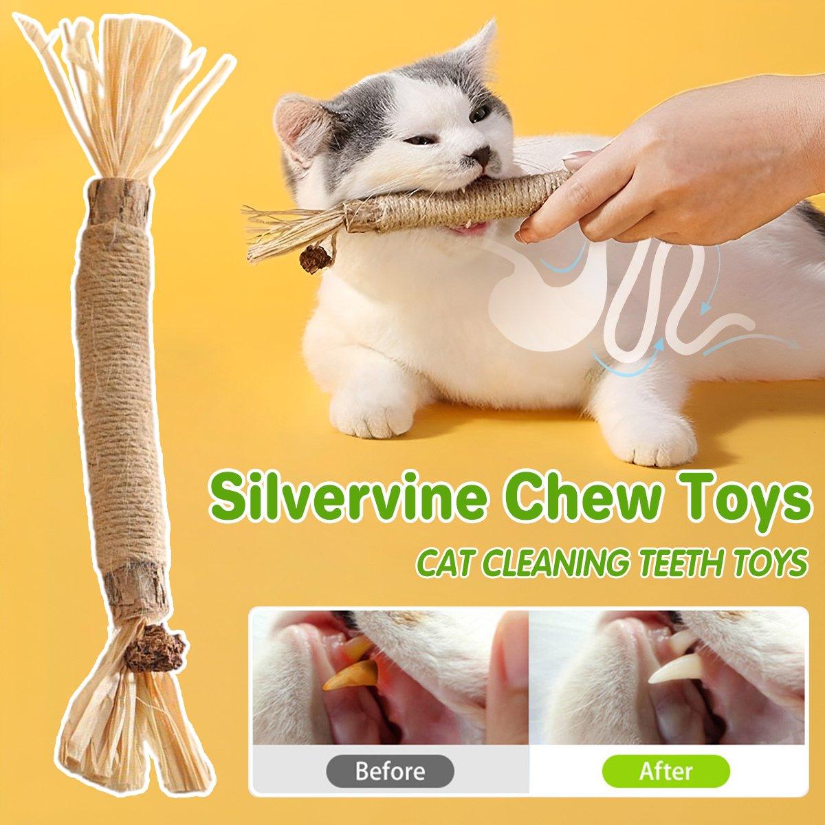 Cat Dental Health Silvervine Sticks Natural Chew Toy