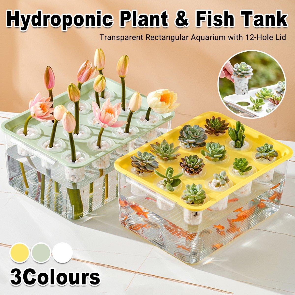 Transparent Rectangular Aquarium 12Hole Lid Portable Hydroponic Plant Fish Tank