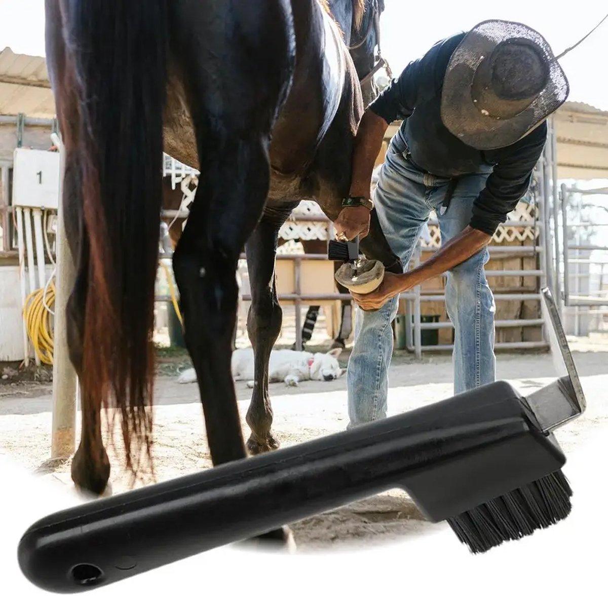 Horseshoe Cleaning Hook Brush Equestrian Horse Hoof Care