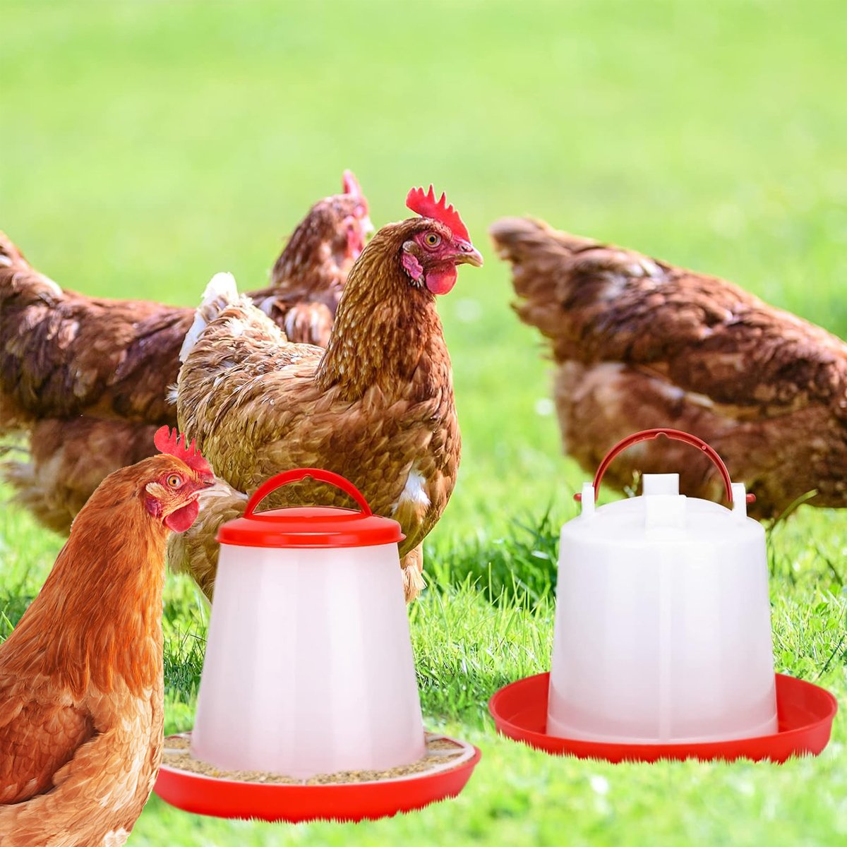 Automatic Chicken Bird Chook Poultry Feeder Drinker Chicken  Poultry Waterer