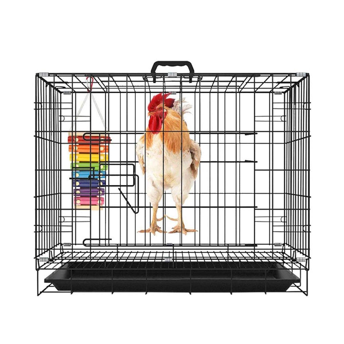 7-Tone Hanging Bird Xylophone Musical Toy for Chickens & Parrots