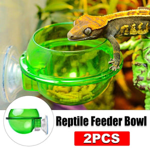 Suction Cup Reptile Feeder Bowl Anti-Escape Feeding Dish for Small Reptiles