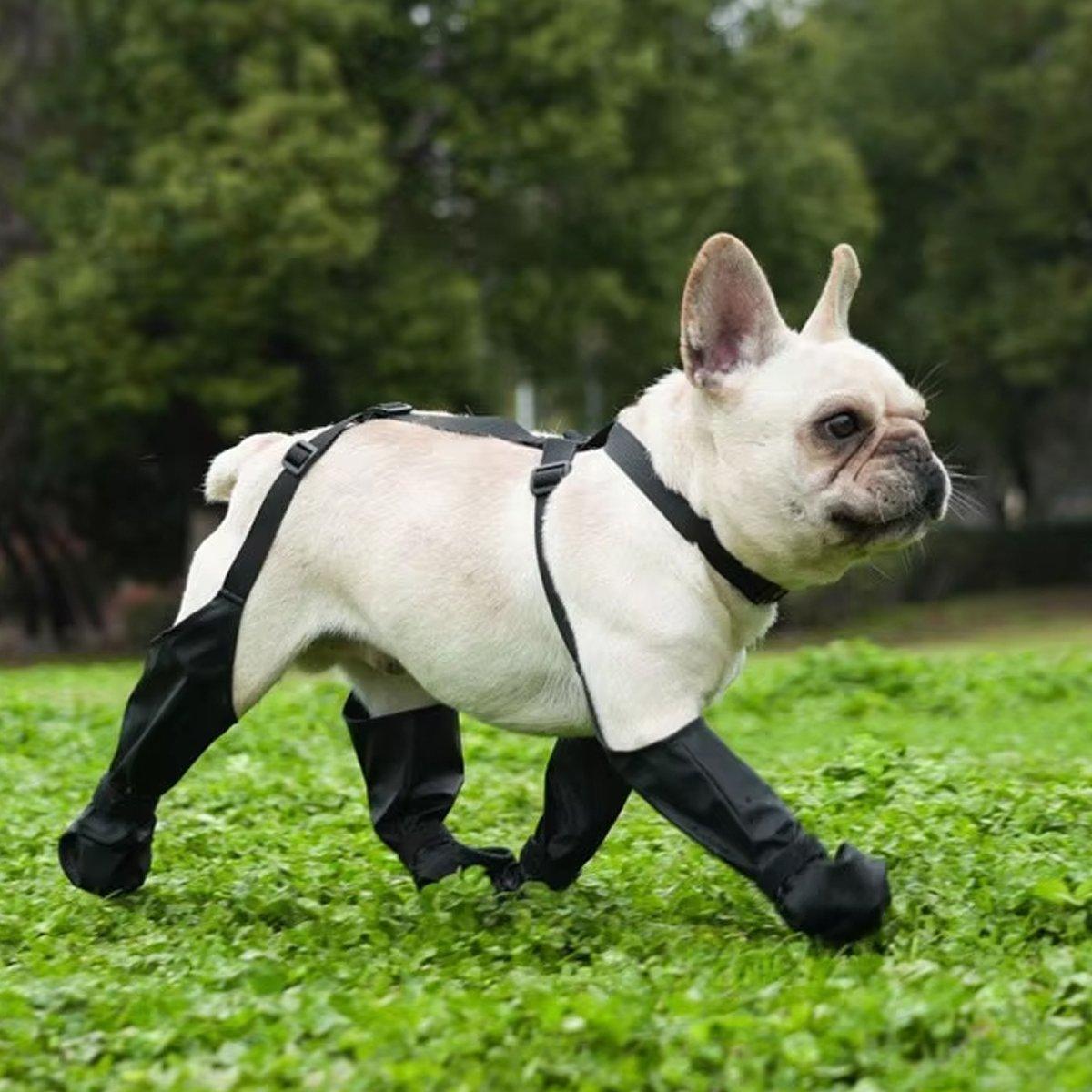 Waterproof Dog Shoes with Adjustable Suspenders Anti-Slip Dog Boots