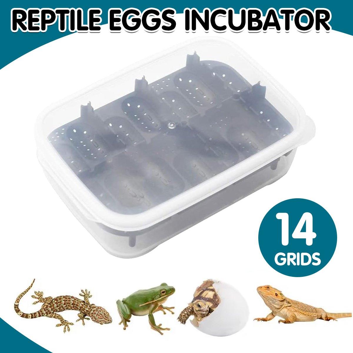 14 Grids Reptile Egg Incubator Secure Hatch Box for Lizards & Turtles