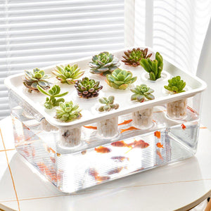 Transparent Rectangular Aquarium 12Hole Lid Portable Hydroponic Plant Fish Tank