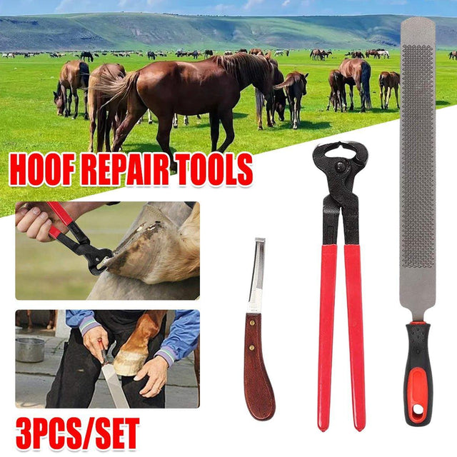 Hoof trimming tools set with hoof nipper, rasp, and knife for horse hoof care