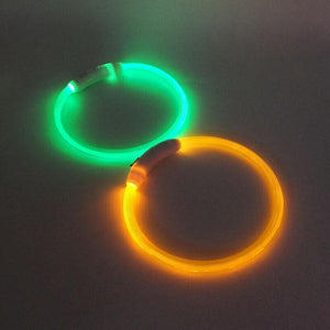 USB Rechargeable Light Up LED Dog Collar for Night Safety AU