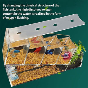 Compact Multi-Cell Desktop Fish Tank with Filtration System