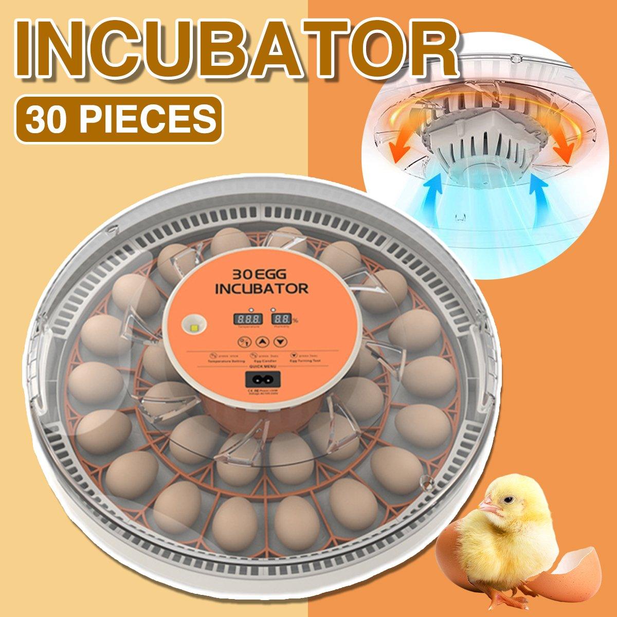 Intelligent New Incubator 30 Automatic Egg Incubator