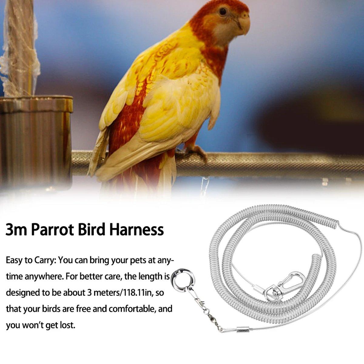 Parrot Release Rope Anklet with Alloy Fasteners Supplies Bird Lead