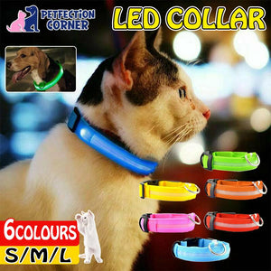 USB-Charged LED Nylon Dog Collar-Glowing Flashing Pet Safety Night Light Collar