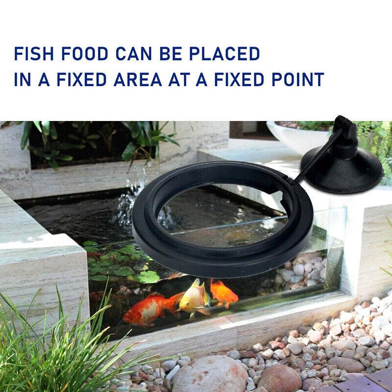 Fish Feeding Ring Aquarium Fish Tank Feeder Floating Fish Food Feeder