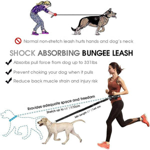 Pet Running Sports Traction Suit Belt Waist Pack Multi-color Reflective Traction Rope Collar Plus Belt