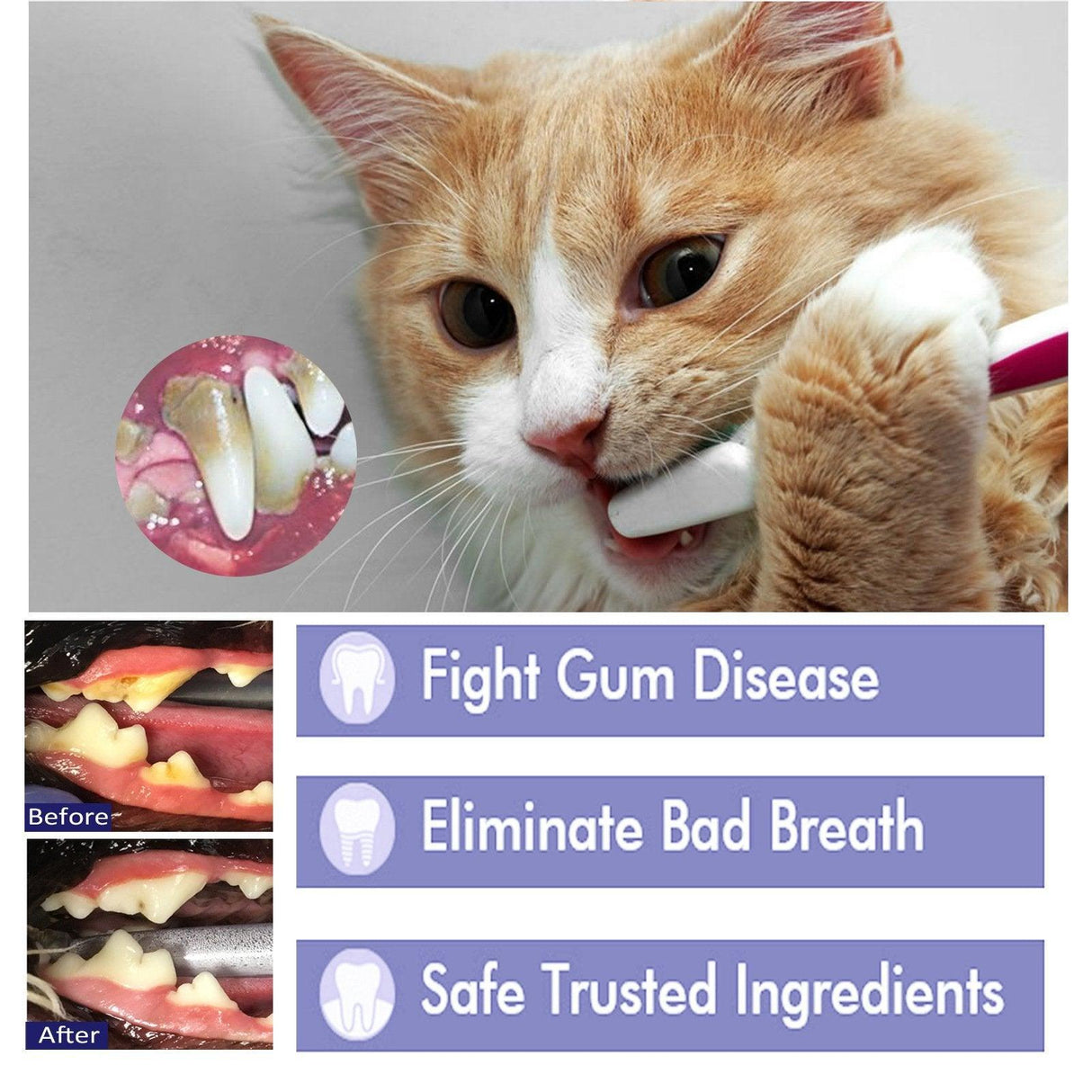 Enzyme-Based Pet Toothpaste for Fresh Breath & Healthy Gums