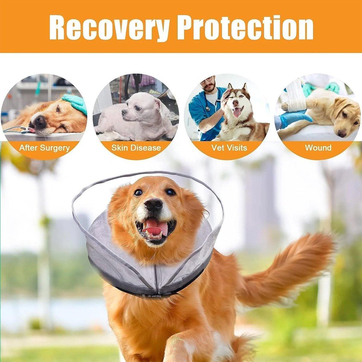 Soft Adjustable Dog Recovery Collar for Post-Surgery & Skin Healing