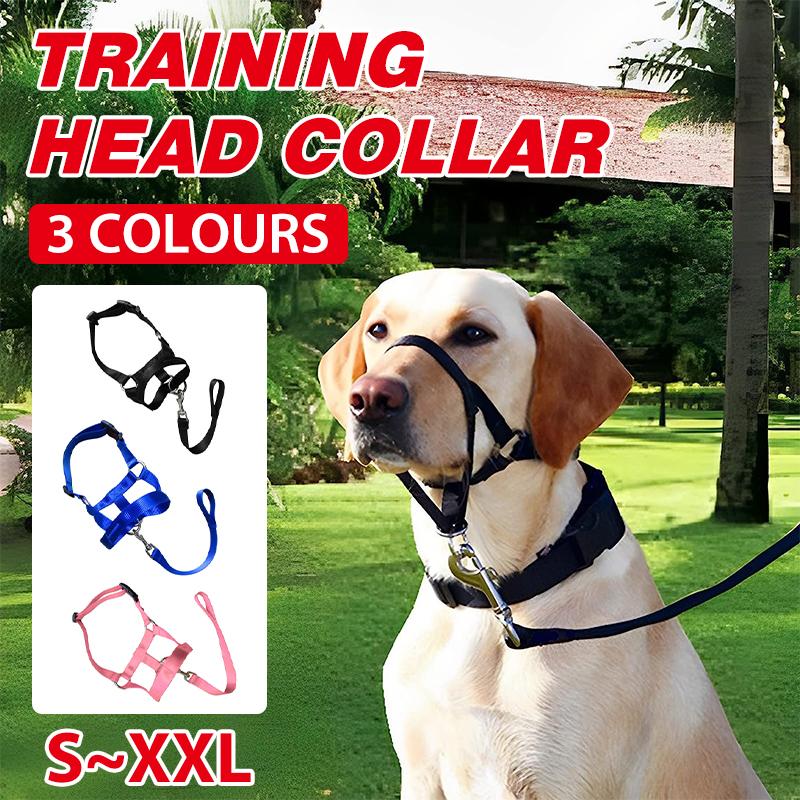 Dog Training Head Collar Halter Stop Pulling Training Tool Harness