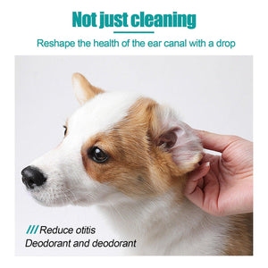 Pet Ear Cleaning Oil Cats And Dogs Ear Cleaning Ear Cleaning Ear Cleaning Oil