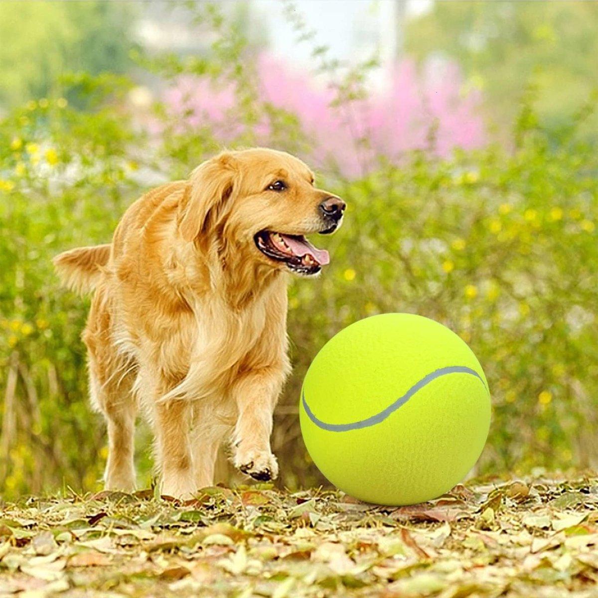 Dog Toy Tennis Ball Safe & Durable Fetch Ball for Small Dogs