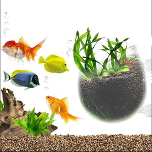 Aquarium Plant Cup for Breeding and Aquascaping Glass Water Plant Holder