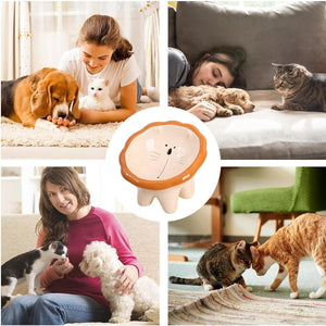 Ceramic Pet Bowl Tilted Design for Neck Protection & Stylish Cartoon Lion