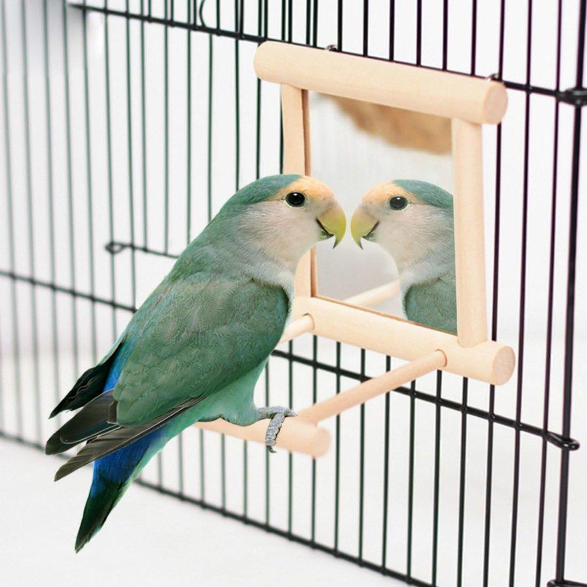 Bird Mirror with Perch 2-in-1 Toy Stand for Small to Medium Birds